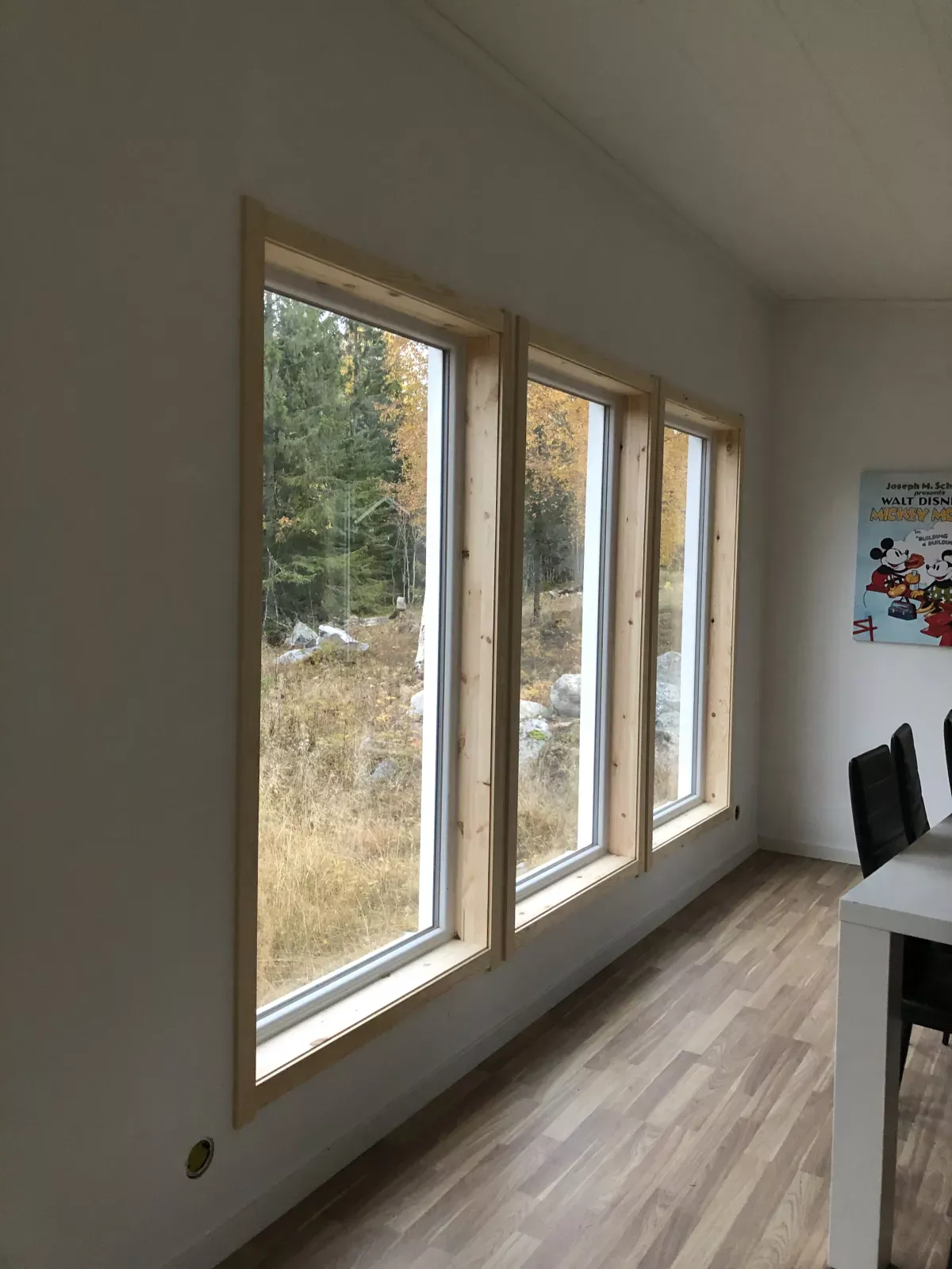 Fönster & dörrar - Bild 1